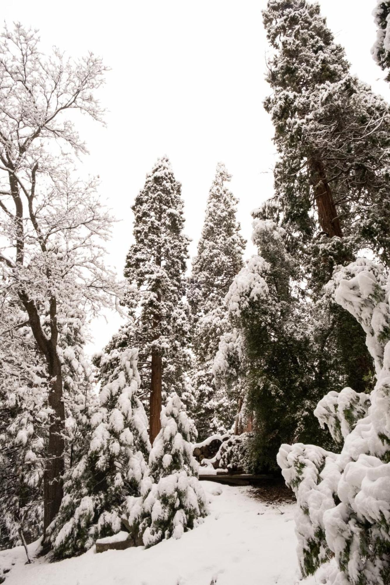 A-frame In The Sequoias Holiday home Wofford Heights
