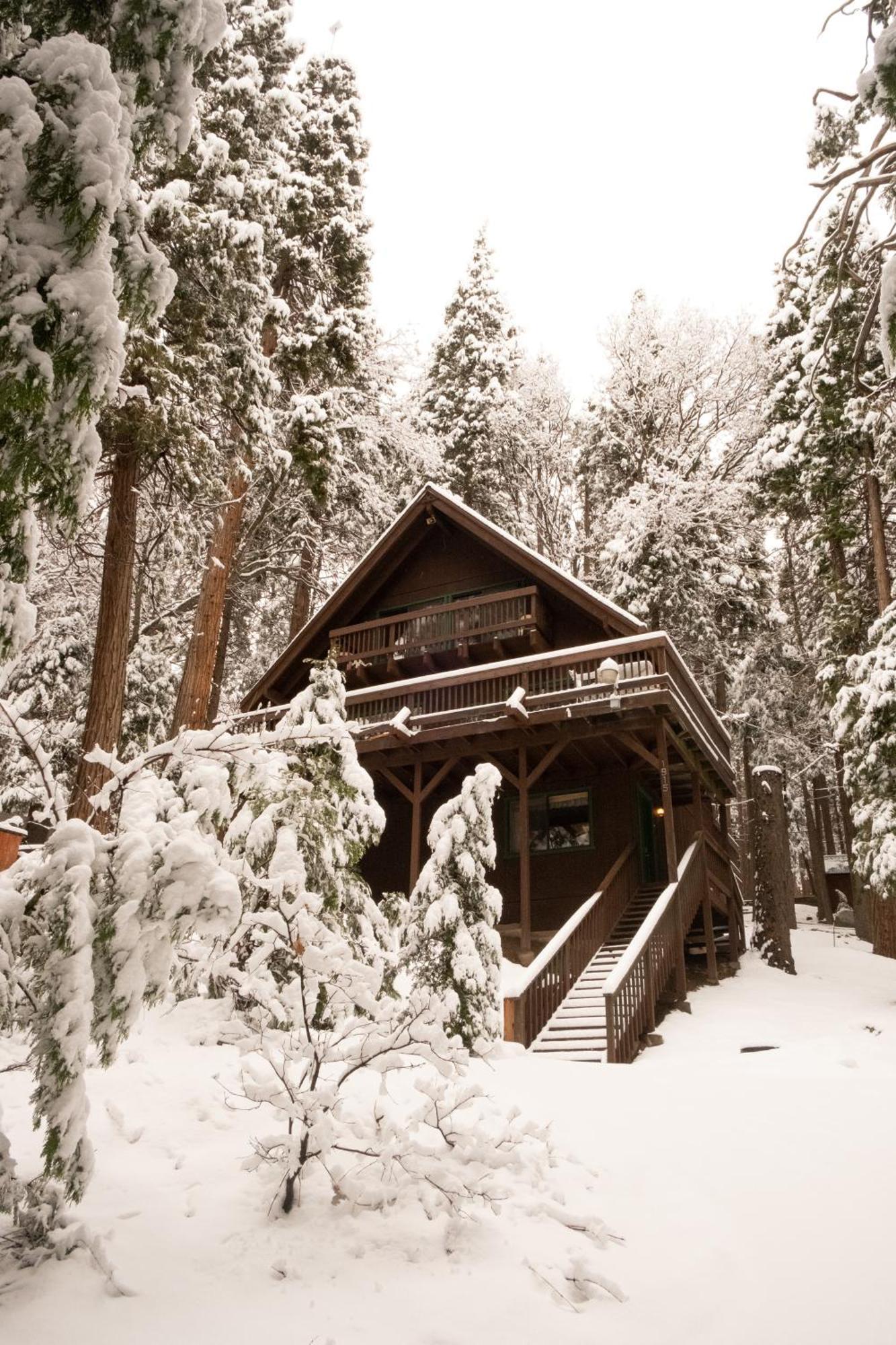 A-frame In The Sequoias