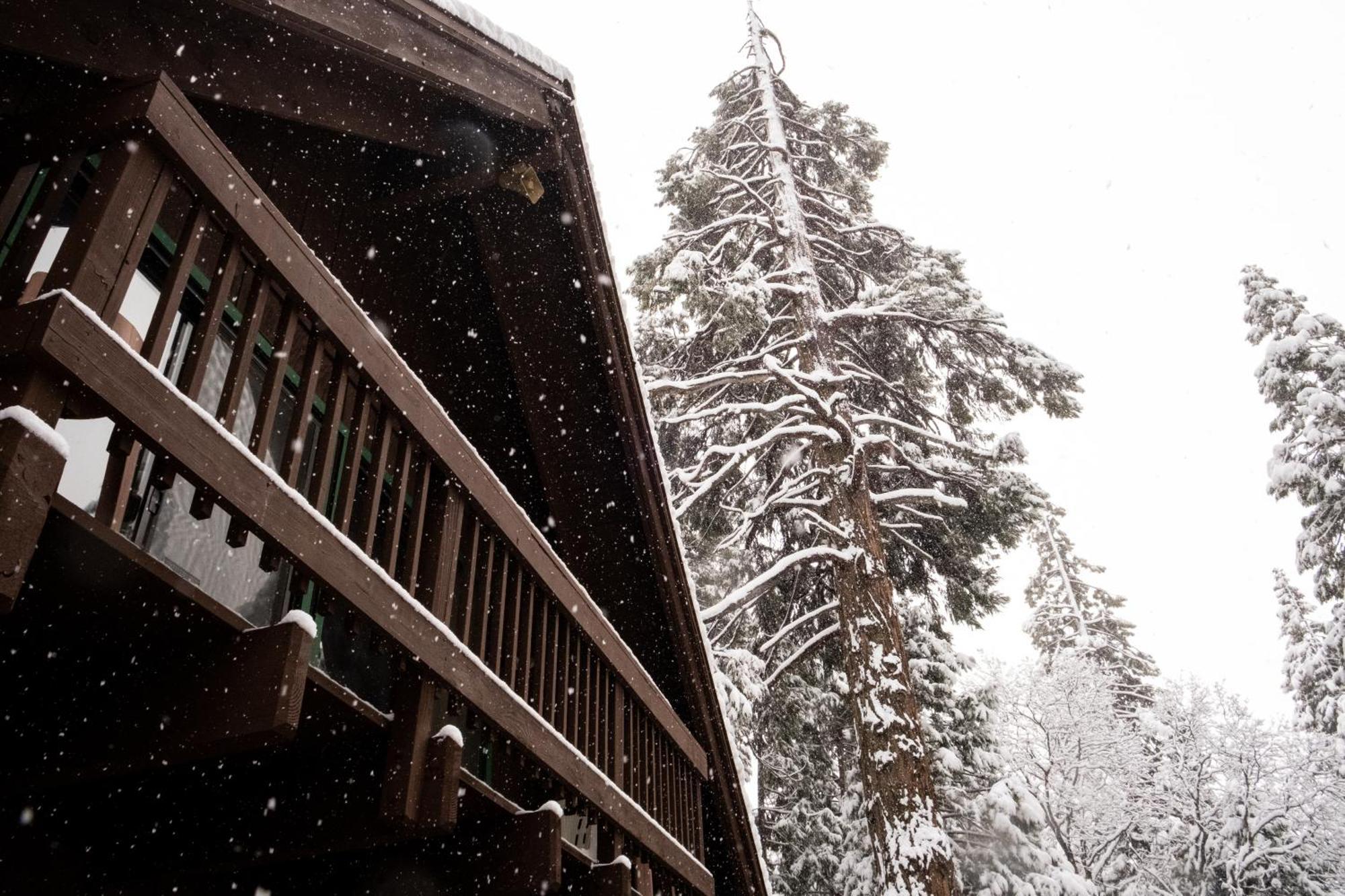 A-frame In The Sequoias *