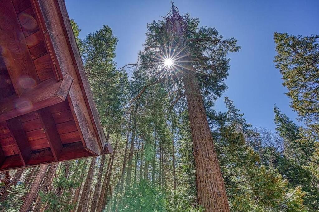A-frame In The Sequoias Wofford Heights