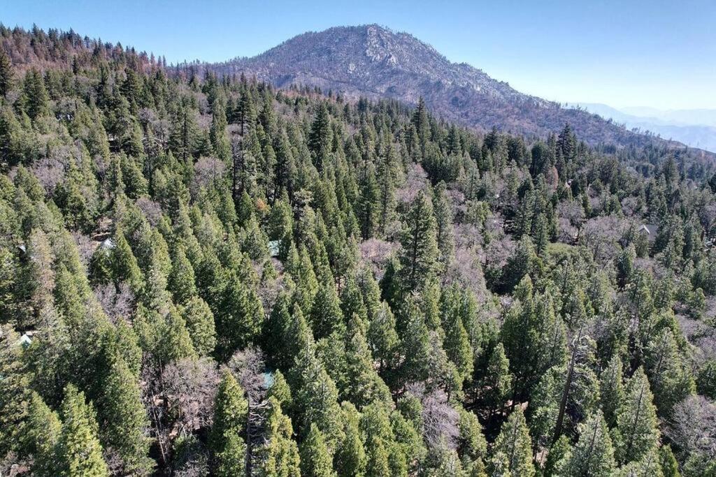 A-frame In The Sequoias Wofford Heights